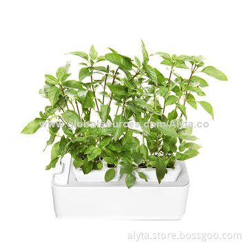 Compact Home Decoration Multifunction Aquarium LED Lamp, Measures 26.5 x 11.5 x 11.4cm